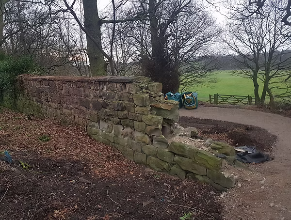 Property Maintenance